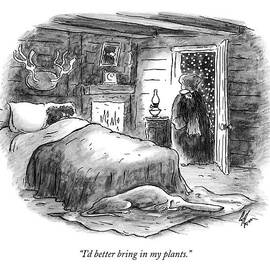 I'd Better Bring In My Plants by Frank Cotham