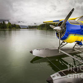 Idle Float Plane at Juneau Airport by Darcy Michaelchuk