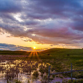 Idyllic by Adam Mateo Fierro