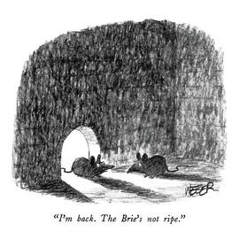 I'm Back.  The Brie's Not Ripe by Robert Weber