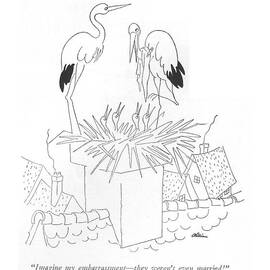 Imagine My Embarrassment  by Alain