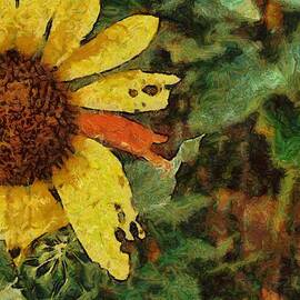 Imperfect Beauty by Jeffrey Kolker