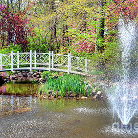 Impressionist Sayen Garden by Olivier Le Queinec