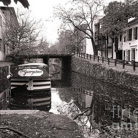 In Georgetown by Olivier Le Queinec