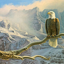 In the High Country-Eagle by Paul Krapf