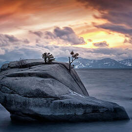 In The Middle Of Difficulty Lies by Sapna Reddy Photography