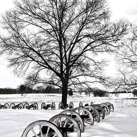 In Time of Peace  by Olivier Le Queinec