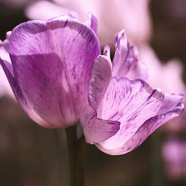 Inseparable by Rona Black