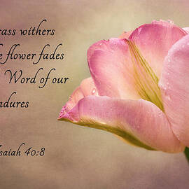 Inspirational Tulip by Mary Jo Allen