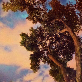 Inspired by Maxfield Parrish by Mary Lee Dereske