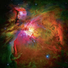 Into the Orion Nebula by Jennifer Rondinelli Reilly - Fine Art Photography