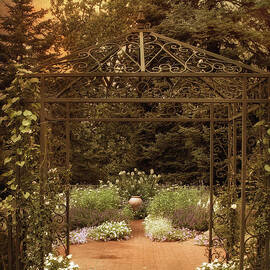 Iron Entrance by Jessica Jenney