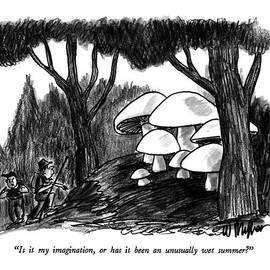 Is It My Imagination by Warren Miller