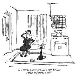 Is It Starve A Fever And Feed A Cat?  Or Feed by George Booth