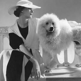 Isabel Johnson With A Poodle by Edward Steichen