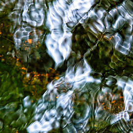 Isinglass by Jeff Sinon