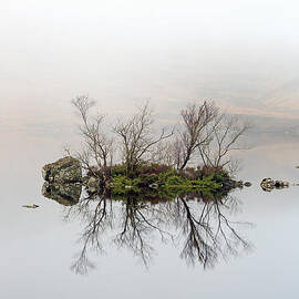 Island of Trees Reflection by Grant Glendinning