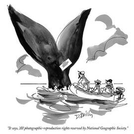 It Says, 'all Photographic-reproduction Rights by Donald Reilly