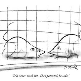 It'll Never Work Out.  She's Patented by Donald Reilly