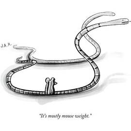 It's Mostly Mouse Weight by Jason Adam Katzenstein