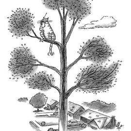 I've Done It Again by Frank Cotham