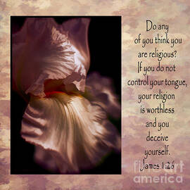 James 1 26 by Macro Abundance