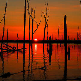 January Sunrise by Raymond Salani III