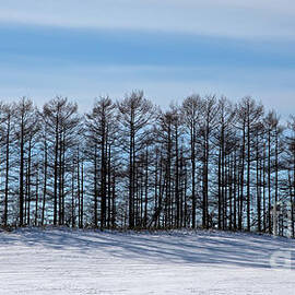 Japan in Winter by Natural Focal Point Photography
