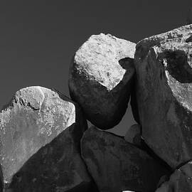 Joshua Tree Balancing Act by Joe Schofield