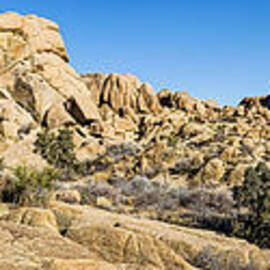 Jumbo Rocks by Kelley King