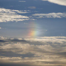 Just a Glimpse by Richard Reeve