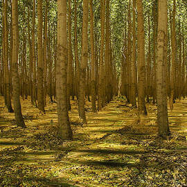 Just add water by Jean Noren