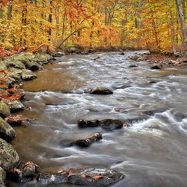 Just Going With The Flow by Susan Candelario