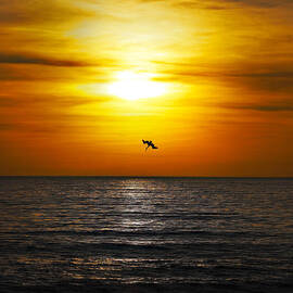 Just One More by Joe Schofield