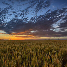 Kansas Color by Thomas Zimmerman