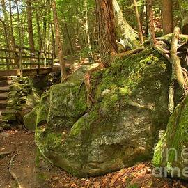 Kildoo Trail Bridge by Adam Jewell