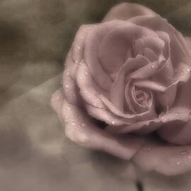 Kissed By The Rain by Susan Candelario