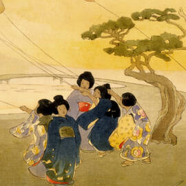 Kites by Georgia Clare