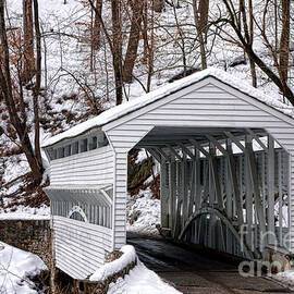 Knox Covered Bridge by Olivier Le Queinec