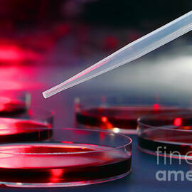 Laboratory Experiment in Science Research Lab by Science Research Lab