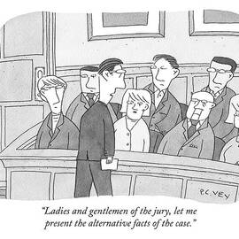 Ladies And Gentlemen Of The Jury by Peter C. Vey