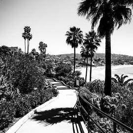 Laguna Beach Heisler Park in Black and White by Paul Velgos