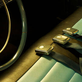 Laid Out Flat by Mary Lee Dereske