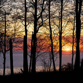 Lake Michigan Sunset with Silhouetted Trees by Mary Lee Dereske