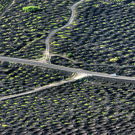 Land Of Confusion by Photo Atan Yilmaz