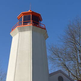 Landlocked Lighthouse by Richard Reeve