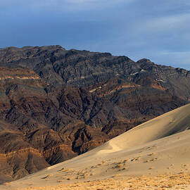 Late Afternoon on the Last Chance Range by Joe Schofield