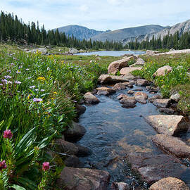 Late Summer Mountain Landscape by Cascade Colors