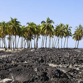 Lava Beach by Kelley King