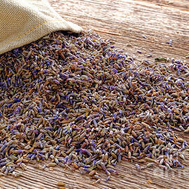 Lavender and Burlap by Olivier Le Queinec